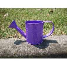 Mini Purple Metal Watering Can 1.2 Liter Manual Colorful Watering Can Small   